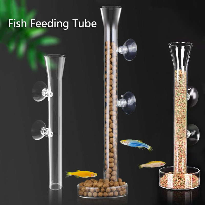 Meal Prep Glass - Glass Aquarium Feeder Tube Dish Transparent