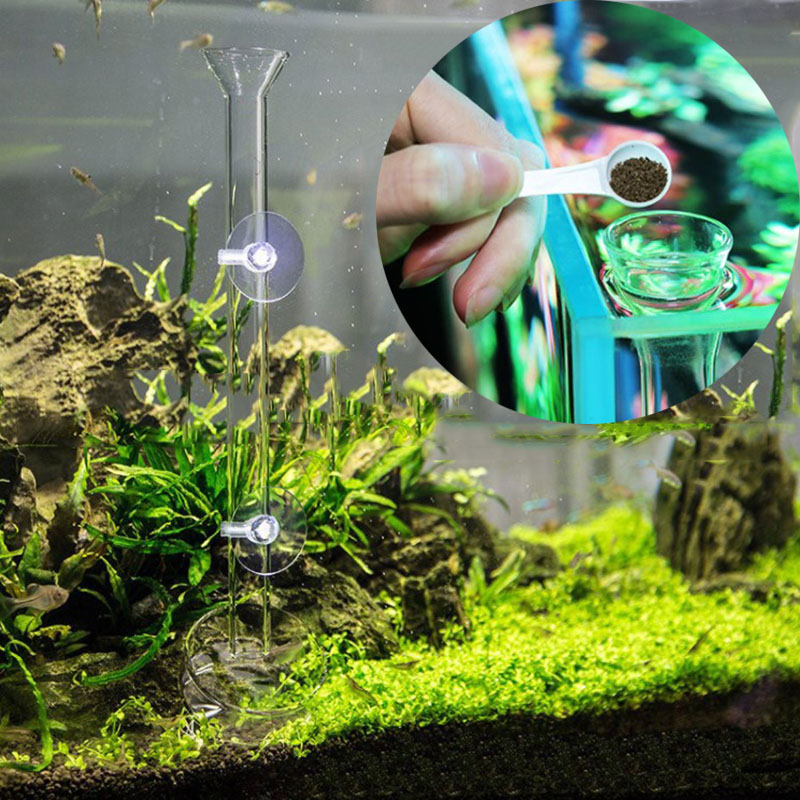 Glass Aquarium Feeder Tube Dis - Meal Prep Glass 评论和价格
